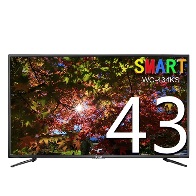 TEGA 43型 液晶顯示器 P-43CK 歷史價格詳細信息