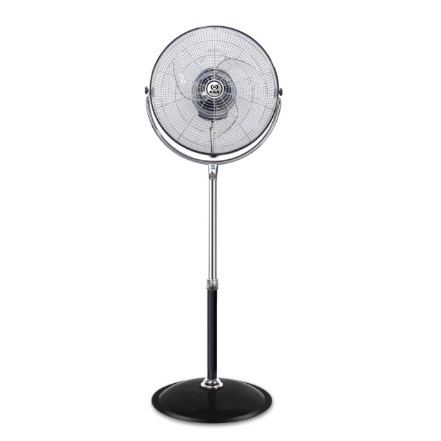 5.5吋關節可動木頭人 歷史價格詳細信息