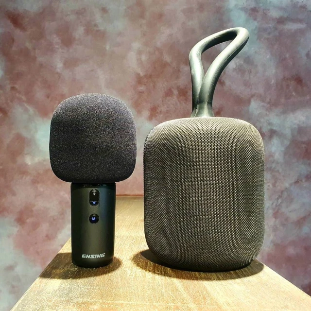 燕聲ENSING ES-3690S 紅外線遙控高功率數位迴音擴大機/卡拉OK/KTV混音擴大機200W 歷史價格詳細信息