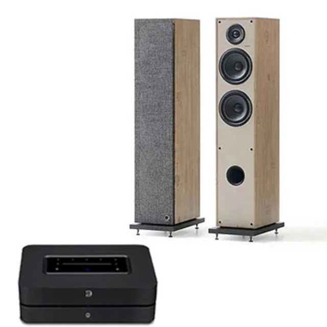 BLUESOUND POWERNODE Edge 數位串流擴大機 歷史價格詳細信息