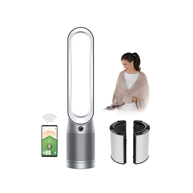 【dyson 戴森】TP07 Purifier Cool 二合一空氣清淨機 循環風扇(銀白色二入)(超值組) 歷史價格詳細信息