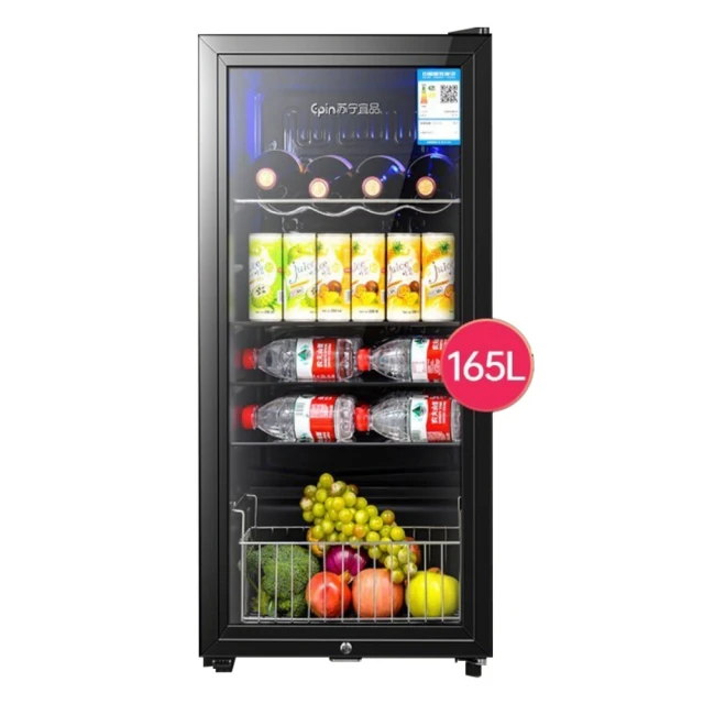 110v小冰箱 20L雙核 數顯電冰箱 迷你冰箱 車用12v 車家兩用款 保養品專用冰箱 製冷便攜小冰箱 歷史價格詳細信息