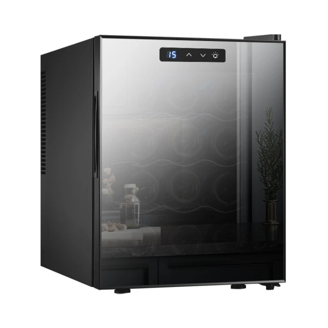 110v小冰箱 20L雙核 數顯電冰箱 迷你冰箱 車用12v 車家兩用款 保養品專用冰箱 製冷便攜小冰箱 歷史價格詳細信息