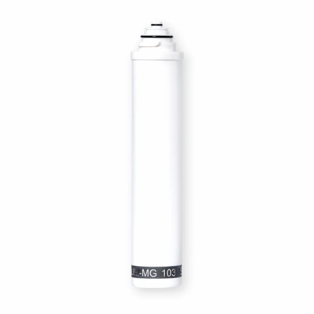【BWT德國倍世】SLIM-MG 103鎂離子濾芯 歷史價格詳細信息