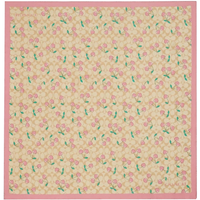 【COACH】粉X米X駝COACH星星條紋羊毛圍巾 歷史價格詳細信息