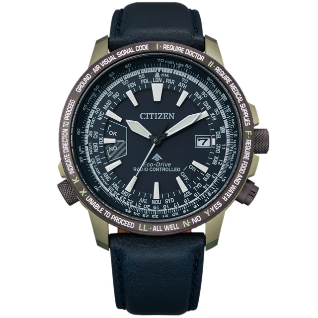 CITIZEN 星辰 PROMASTER 光動能鈦金屬電波錶 AT8195-85L 歷史價格詳細信息