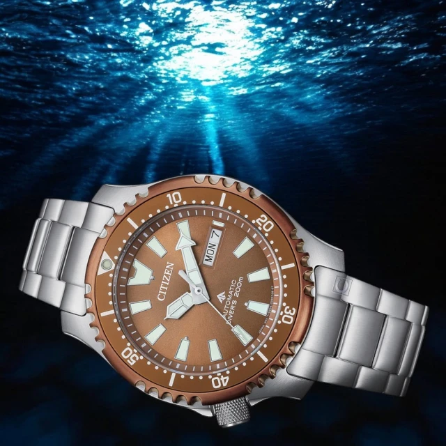 CITIZEN 星辰 PROMASTER 鋼鐵河豚復刻機械錶 附贈橡膠錶帶(NY0164-65X) 歷史價格詳細信息