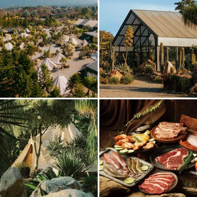 價★品王雅科達軍迷用品戰術背心戶兩棲作戰馬甲輕量化真人CS裝備全      全最大的 歷史價格詳細信息