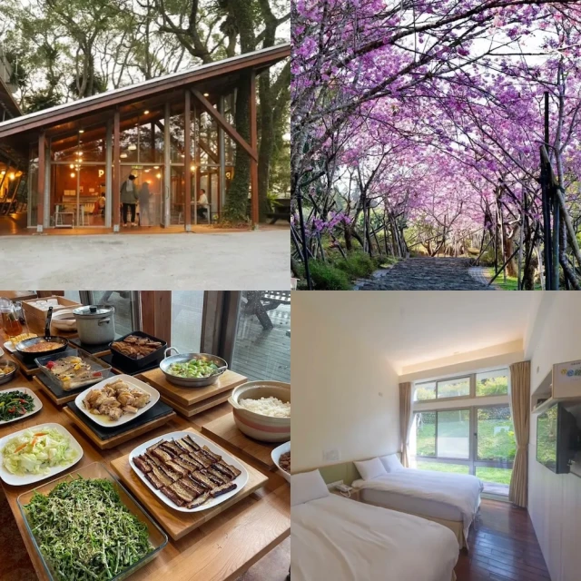 鳴森虎紋小提琴初學者專業檢定考試演奏純手工實木雲杉成人兒童樂器 歷史價格詳細信息