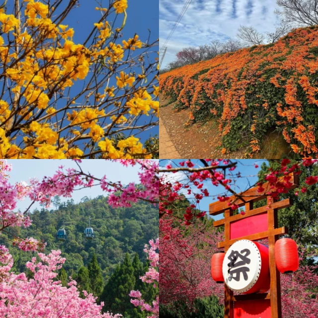 【吉航旅遊】花戀香風格旅人舒適三排椅大巴繽紛花季漁島月灣碗粿意麵香五星香格里拉一泊三食二日 歷史價格詳細信息