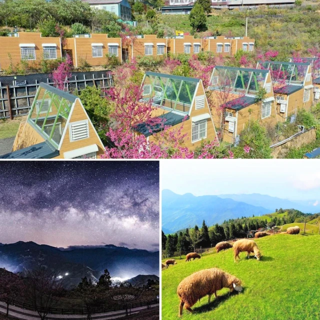 12星座浴巾 12星座毛巾 加厚毛巾 純棉毛巾 飯店毛巾 情侶毛巾 吸水毛巾 運動毛巾  現貨 蝦皮直送 歷史價格詳細信息