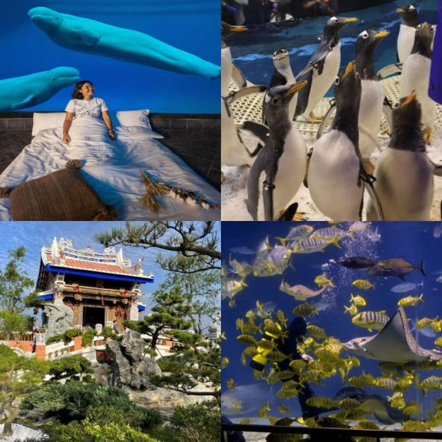 與水同行：走讀臺灣的水資源歷史與文化【金石堂】 歷史價格詳細信息