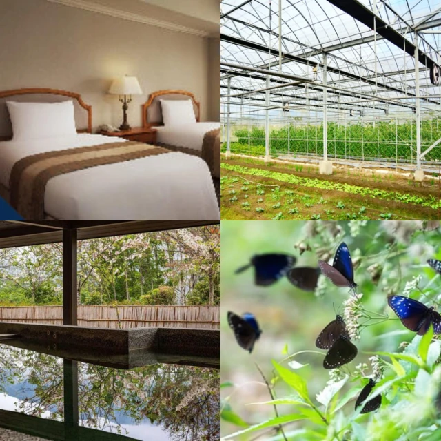 (DIY)紫斑蝶II(I7-12700F/微星H610/RTX3050/8G/512G M.2/550W) 歷史價格詳細信息