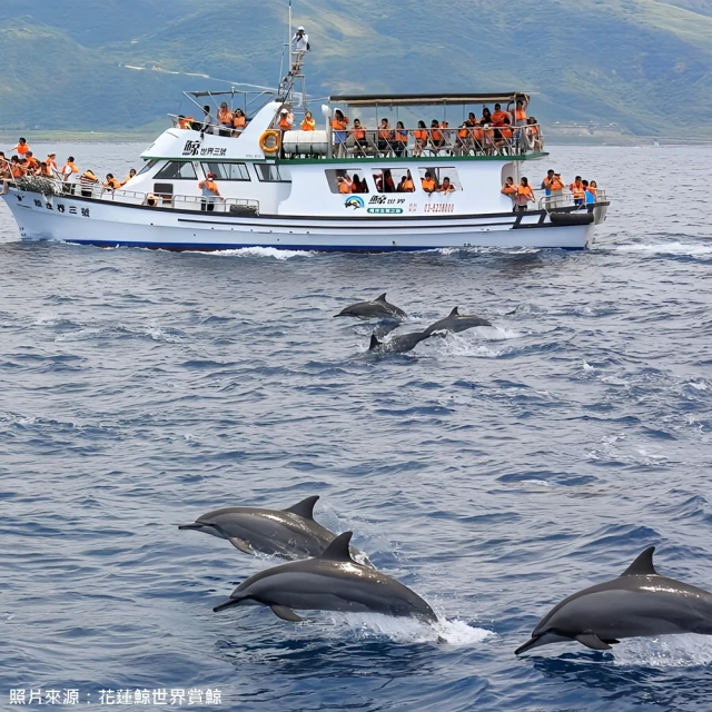 【花蓮】鯨世界-賞鯨豚生態之旅成人雙人券 歷史價格詳細信息