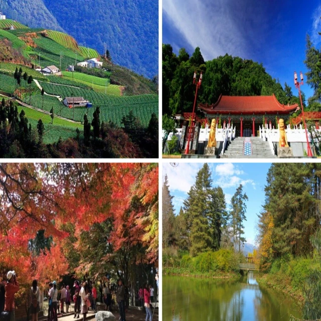 雨航品牌美拉系列Q2款雨槽專用支架全鋁合金行李框1.6m1.8m2.2m 歷史價格詳細信息