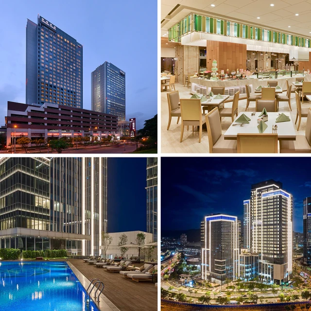 【漢來飯店】五星主廚 霸王手工魚翅丸 3包入免運組 (400公克/8顆) 歷史價格詳細信息