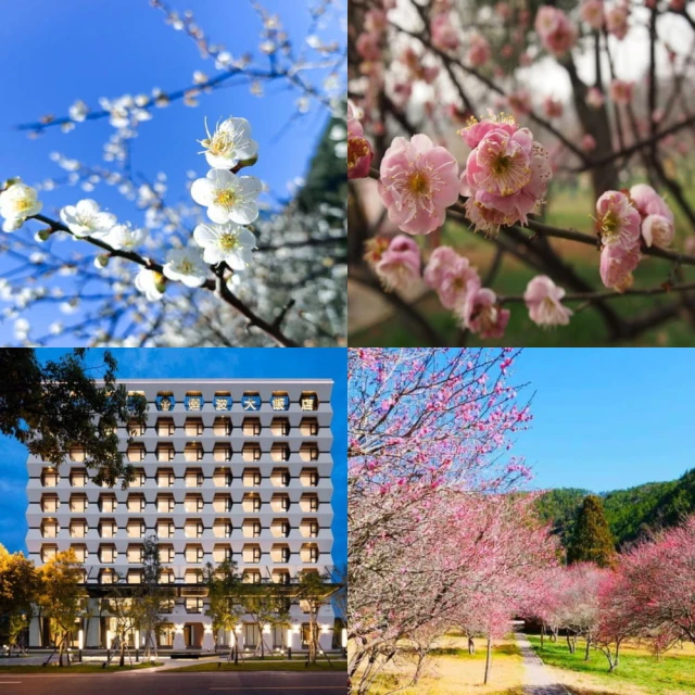【吉航旅遊】藍皮解憂號南迴訪秘境高雄寒軒花蓮瑞穗天合環島三日 歷史價格詳細信息