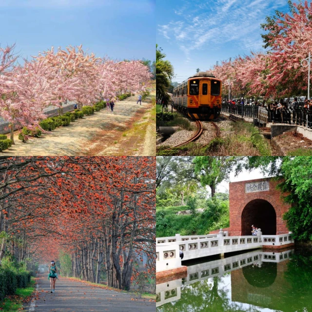 【吉航旅遊】藍皮解憂號南迴訪秘境高雄寒軒花蓮瑞穗天合環島三日 歷史價格詳細信息
