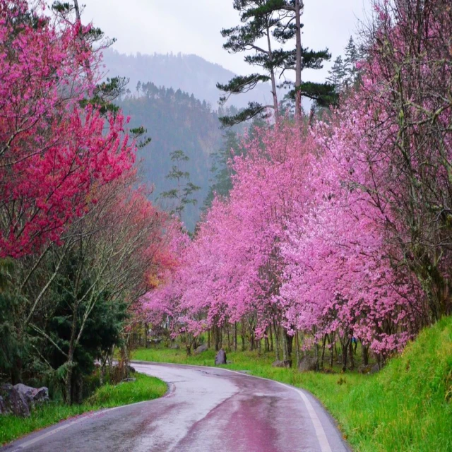 【喜鴻假期】【全覽小東歐奧克斯斯匈１２日】十六湖、地下溶洞、三遊船、城堡纜車、漁人堡、熊布朗宮 歷史價格詳細信息