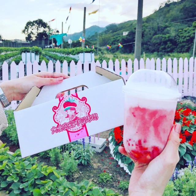 【找到了旅遊】四星峴港巴拿山5日 歷史價格詳細信息