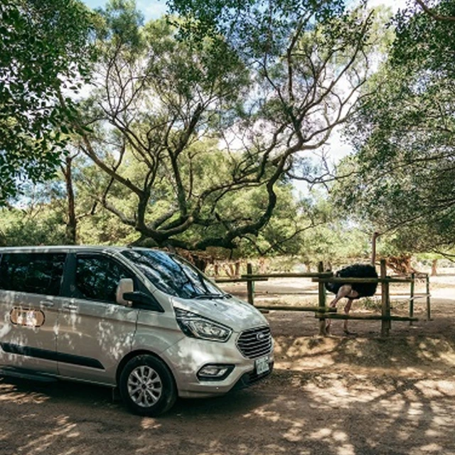 《集福延慶》研究 歷史價格詳細信息