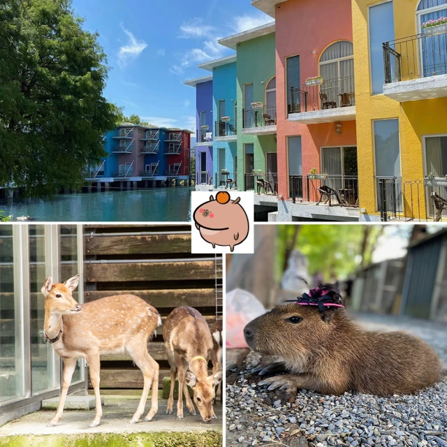 【宜蘭水岸森林物語】親子農場★可愛動物園單人門票(贈一份牧草) 價格比較,價格查詢,歷史價格詳細信息