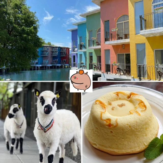 【可愛動物門檔】動物趴 門塞 卡通門擋條 兒童安全 防夾手 PVC 門碰 兒童門擋 歷史價格詳細信息