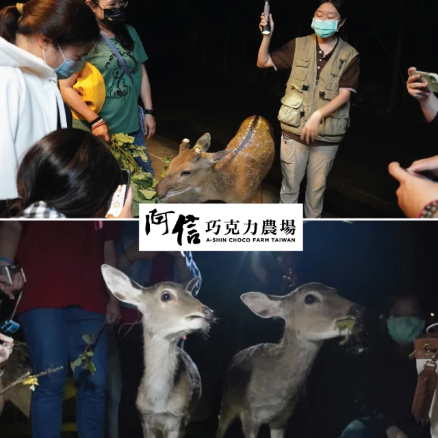 阿信巧克力農場夜探梅花鹿活動券[墾丁][Mohist電子票券] 歷史價格詳細信息