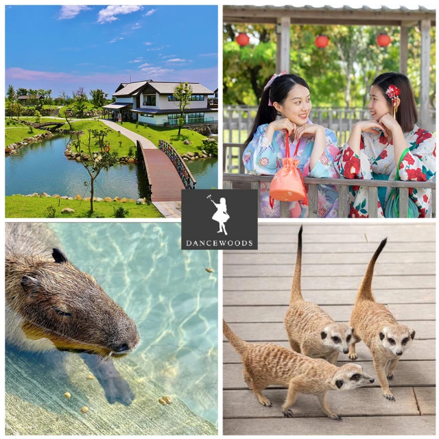 【出遊好朋友】旅行套組 萬向輪百變旅行包+五孔摺疊衣架 節省空間 旅行用品 歷史價格詳細信息