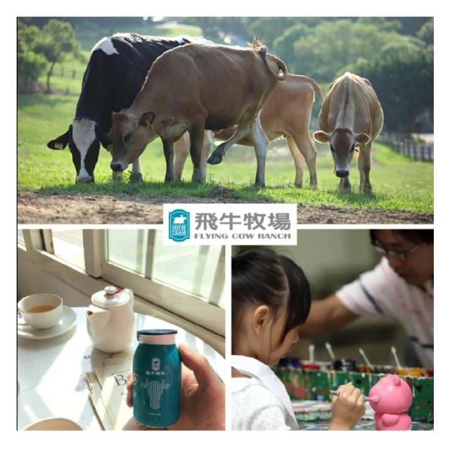【苗栗】飛牛牧場-單人入園全票+烤布丁3入組 歷史價格詳細信息