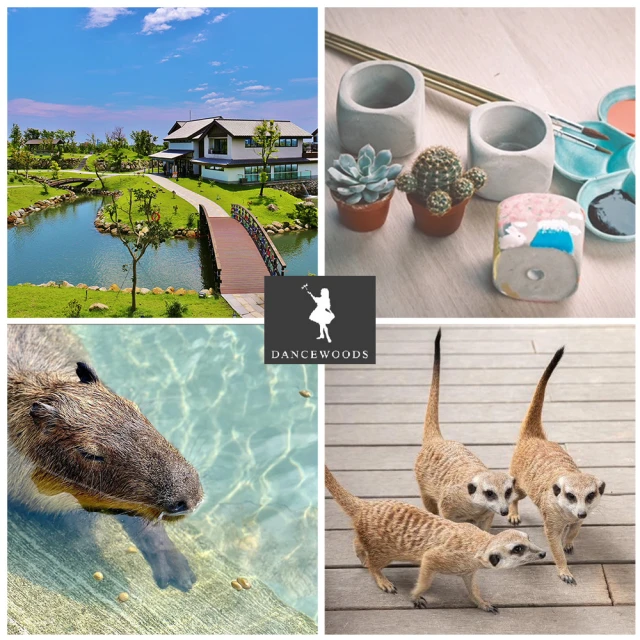 日式DIY小熊飯團模具套裝組(1組入)【小三美日】DS002122 歷史價格詳細信息