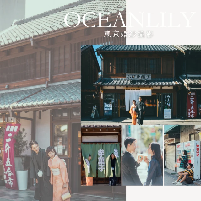 專業紗窗長桿清潔刷除塵刷-短款 歷史價格詳細信息