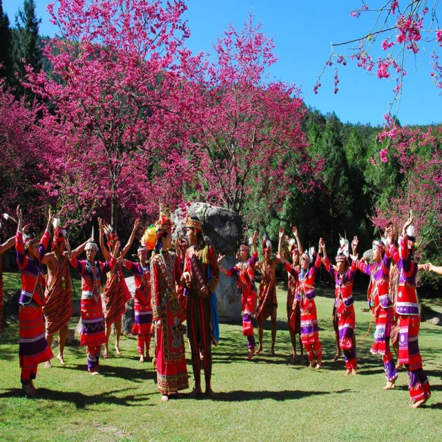 賠售出清【Xbox One原版片】☆ F1 2017 一級方程式賽車2017 ☆英文版全新品【台中星光電玩】 歷史價格詳細信息