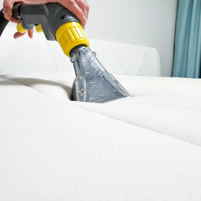 除蟎清洗液護理液框架鏡片電腦螢幕清潔水噴霧眼睛清潔 歷史價格詳細信息