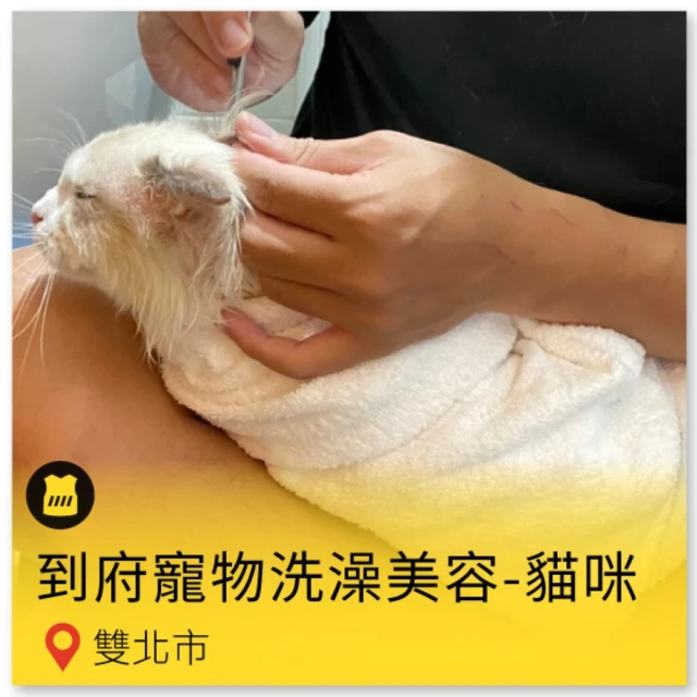 【呼叫黃背心】到府寵物洗澡美容(貓咪/隻) 歷史價格詳細信息