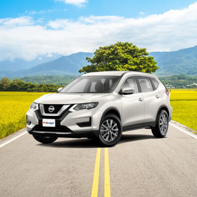 三枚連續年份！維多利亞女王銀幣 英屬印度1盧比  1890+15495 歷史價格詳細信息