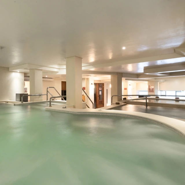 【水美溫泉會館】男女大眾裸湯/湯屋通用券[北投][Mohist電子票券] 歷史價格詳細信息