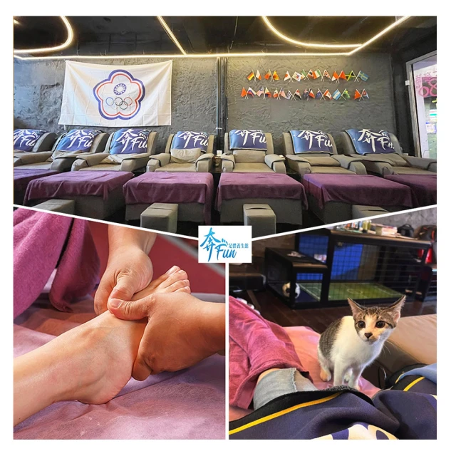 中式高腳茶點盤 陶瓷點心盤 粗陶窯水果盤 乾果碗陶瓷托盤 點心盤 小菜高足盤-滿599免運 歷史價格詳細信息