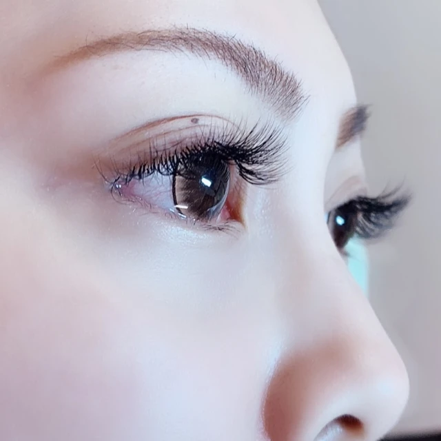 【台北】大根日本料亭-波士頓龍蝦套餐 歷史價格詳細信息