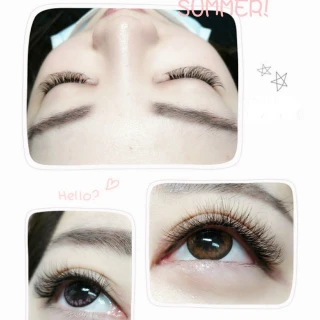 黑花 不透光 玻璃貼紙 浴室玻璃窗戶貼紙 隔熱防曬 歷史價格詳細信息