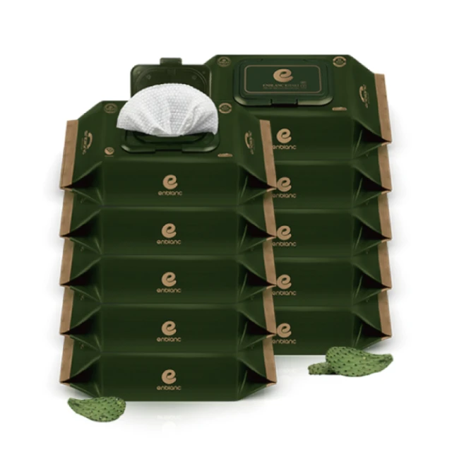 ENBLANC MINT極柔純水有蓋濕紙巾 - 薄荷萃取物(無涼感) 72抽1包 歷史價格詳細信息