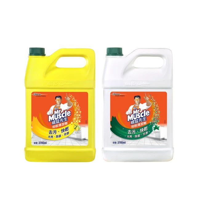 威猛先生 地板清潔劑加侖桶-完美花香3785ml 歷史價格詳細信息