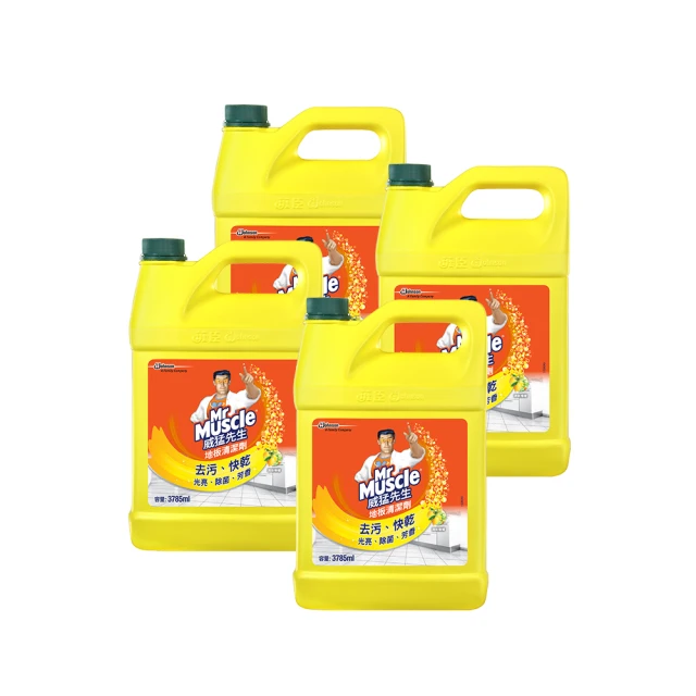 威猛先生 地板清潔劑加侖桶-完美花香3785ml 歷史價格詳細信息