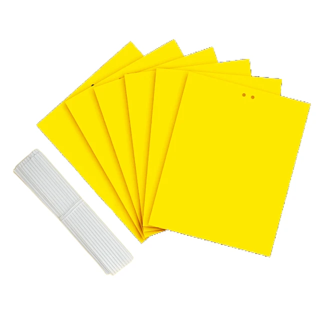 【拼創生活】拋棄式防水耳罩100入(一次性耳罩 防水耳罩 耳套 染髮耳罩 美髮耳罩 防護耳罩 美容美髮) 歷史價格詳細信息