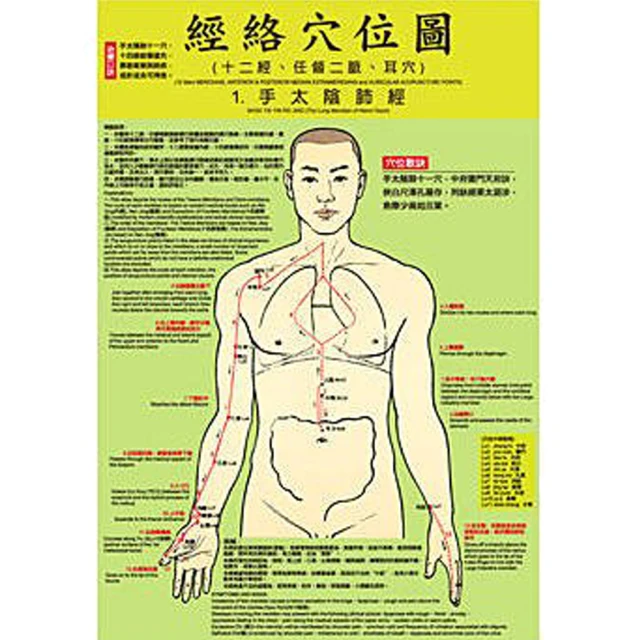 彩印 人體肌肉拉伸手法圖解上下肢套裝2冊 歷史價格詳細信息