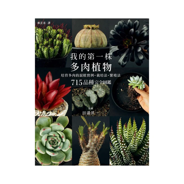 我的第壹本奇妙科學書  木乃伊 | 韓國奇妙科學企劃委員會著 | 北京：同心出版社,2015.01 歷史價格詳細信息