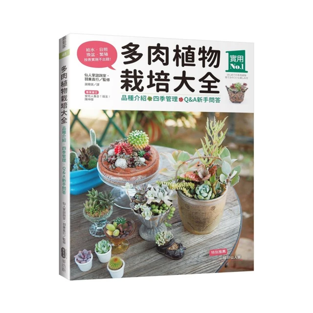 多肉植物。南非龜甲龍3吋盆 實物拍攝可超商郵局取貨 歷史價格詳細信息