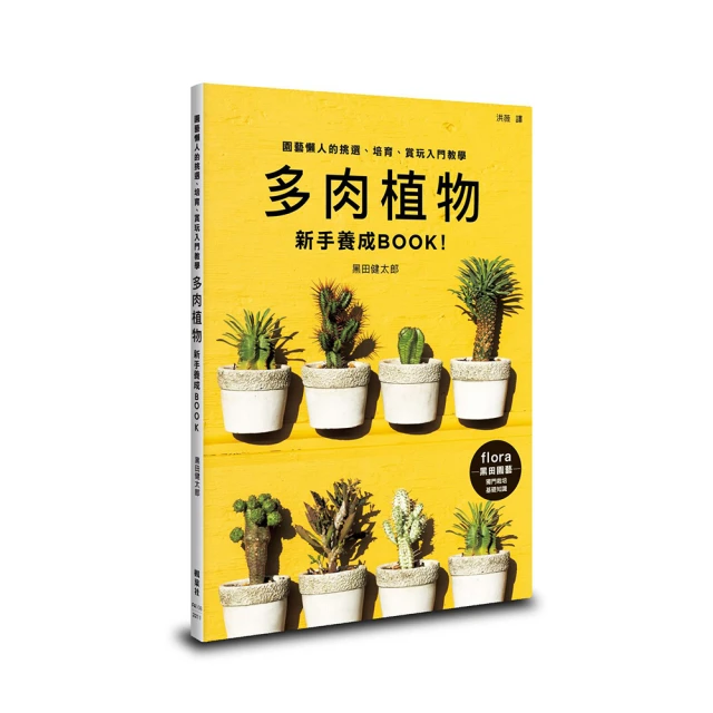 多肉植物。南非龜甲龍3吋盆 實物拍攝可超商郵局取貨 歷史價格詳細信息