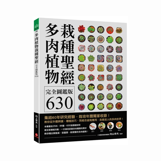 多肉植物。南非龜甲龍3吋盆 實物拍攝可超商郵局取貨 歷史價格詳細信息