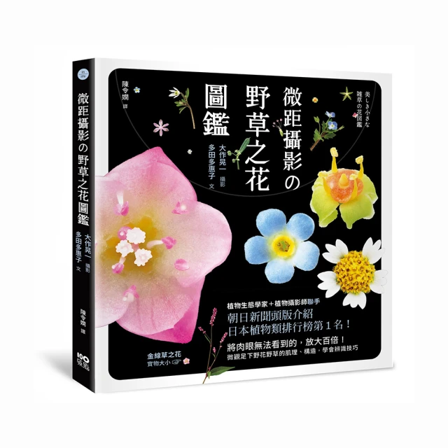 學會構圖、調色、空間感的兒童美術 歷史價格詳細信息